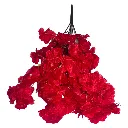 cerezo-rojo.webp